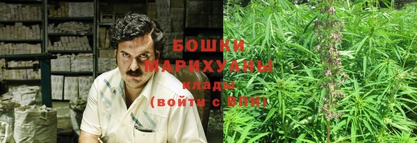 дживик Елабуга