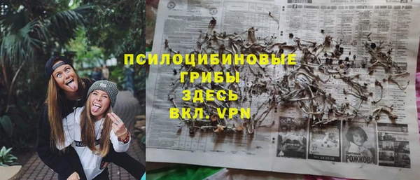 дживик Елабуга