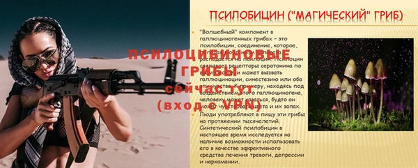 дживик Елабуга