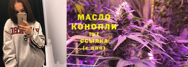 дживик Елабуга