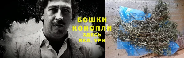 дживик Елабуга