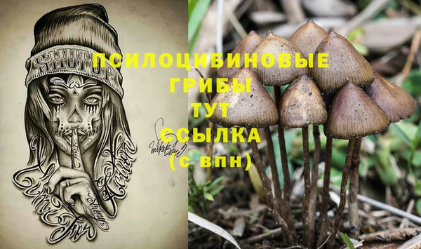 кристаллы Ельня