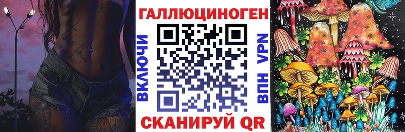 Купить закладки  Гагарин  Галлюциногенные грибы мицелий 